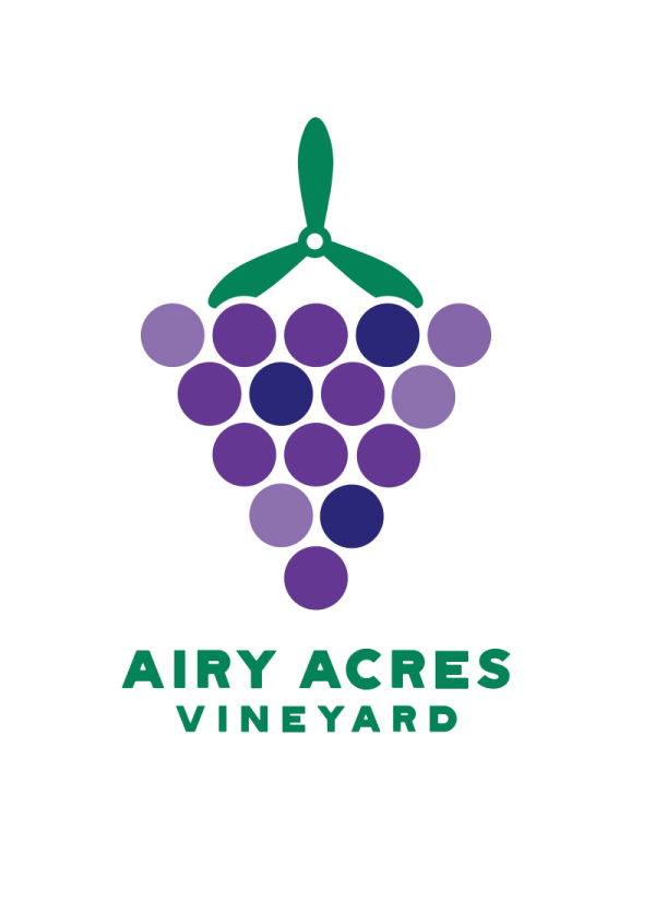 vinyard logo